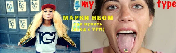 мдпв Бердск